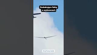 Zaskakujące fakty o szybowcach🤯 [upl. by Nosyrb]