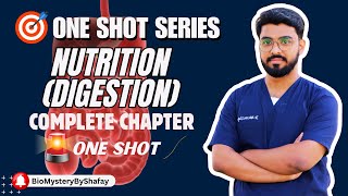 HOLOZOIC NUTRITION I DIGESTION I ONE SHOT LECTURE I COMPLETE CHAPTER BY DR MUHAMMAD SHAFAY [upl. by Hillard]