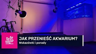 38 JAK PRZENIEŚĆ AKWARIUM W INNE MIEJSCE akwarium morskie 400l  sump [upl. by Hayyim]