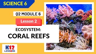 Science 6 Quarter 2 Module 6 Lesson 2  Ecosystem Coral Reefs [upl. by Eimmot772]