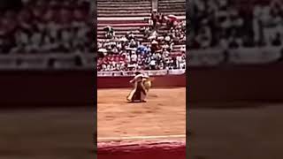 TORO SALIDA MUY BRAVA SALTANDO DESDE LOS CHIQUEROS🐂 torobravo plazadetoros toros chiqueros bull [upl. by Ttegdirb]