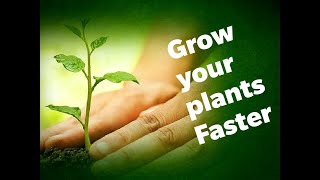 Grow your plants faster plant growth promoter [upl. by Amsirahc851]