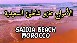 أجواء شاطئ السعيدية بعد الفيضانات 2024  Saidia beach waves moving [upl. by Pilloff]