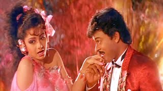 Priyathama Nanu Palakarinchu Song Full HD  Chiranjeevi Sridevi Superhit Song  Telugu Video Songs [upl. by Arahk]