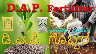 DAP Fertilizer  18460 Fertilizer  ಡಿ ಎ ಪಿ ಗೊಬ್ಬರದ ಬಗ್ಗೆ ಸಂಪೂರ್ಣ ಮಾಹಿತಿ fertilizer farming [upl. by Melburn807]