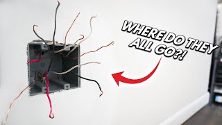 The BEST Way To Trace Wires Hidden Inside Your Walls DIY How To For Beginners [upl. by Madlen]