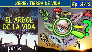 🌳Clasificación de los seres vivos ACTUAL📖Reinos dominios Woese Y MÁS🧫Tierra de Vida Ep 3 Parte 1 [upl. by Giliane910]