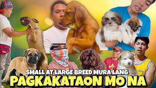 MATUTUWA KA TALAGA SA PRESYO NG MGA PETS  BOCAUE PET MARKET UPDATE  JUNE 28 2024 [upl. by Elodie]