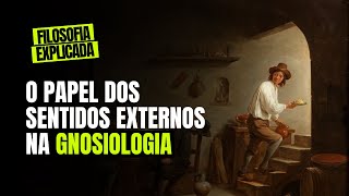 Filosofia explicada O papel dos sentidos externos na GNOSIOLOGIA de São Tomás de Aquino [upl. by Tammie489]