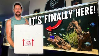 UNBOXING MY DREAM FRESHWATER STINGRAY [upl. by Dickerson362]