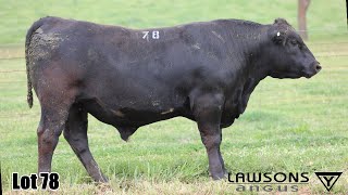 Lot 78 Lawsons Quinella VLY23U4060 [upl. by Astrix]