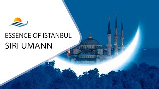 Chill amp Lounge Music Essence of Istanbul  Siri Umann Mediterranean Music [upl. by Manup]