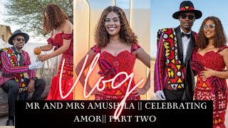 WEDDING VLOG MR amp MRS Amushila🥰  The night is still young  Part 2 [upl. by Adran]