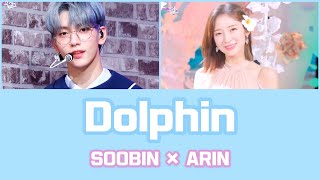 【日本語訳 歌詞】DolphinSOOBIN×ARIN [upl. by Yot]