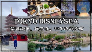 東京迪士尼海洋樂園，六本木聖誕燈飾、淺草寺、秋葉原和牛燒肉推薦 [upl. by Odlanir944]