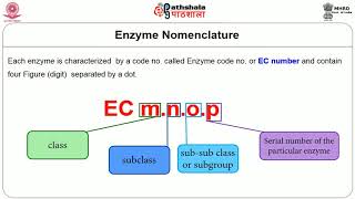 Enzyme Classification and Metabolism [upl. by Cairns529]