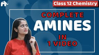 Amines Class 12 Chemistry One Shot NCERT Chapter 13  CBSE NEET JEE [upl. by Keheley]