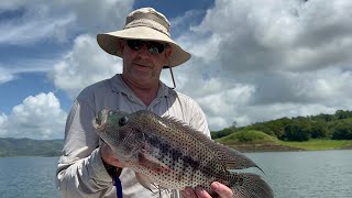 Rainbow Bass Guapote Fishing Lake Arenal Costa Rica [upl. by Pimbley]