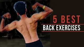 The Most Effective LAT Exercises  Back Workout 🔥 [upl. by Dnomaid]