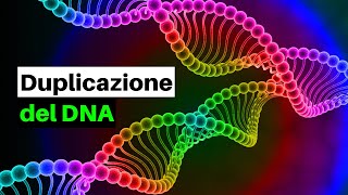 Come si replica il DNA La duplicazione del DNA resa semplice [upl. by Nneb]