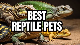 The Top 5 Best Reptile Pets For Beginners [upl. by Asha83]