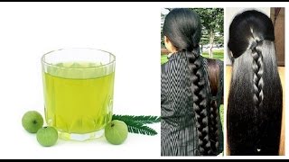 How to Make Amla Hair oil at Home  Grow your hair longer and Stop Grey Hair Very Fast [upl. by Camala]