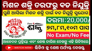 Odisha Mission Shakti Recruitment 2024  7th10th Pass Jobs Apply Offline Now  Technical Jagruti [upl. by Ecinej]