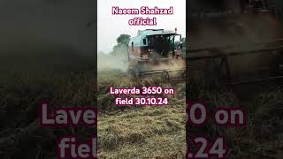 Laverda laverda 3650 on field 301024 farming paddyharvester agriculture agriculturefarming [upl. by Tegan]