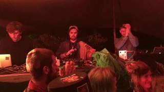 WIDE AWAKE FUSION FESTIVAL 2016  Bachstelzen [upl. by Tess]