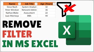 How to Clear Filter in Excel  Remove Filter in Excel [upl. by Ahtivak]