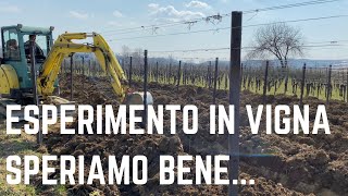 Lavorazione del terreno quotalternativaquot per un nuovo vigneto [upl. by Esya268]