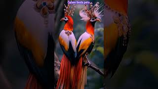 Amazing AI Bird beautiful reaction birds nature wildlife animals shortsfeed aiart ai [upl. by Rafaelia]