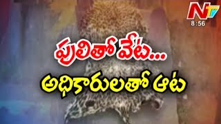 Tigers Hunting in Adilabad Forest  Be Alert [upl. by Notnroht]