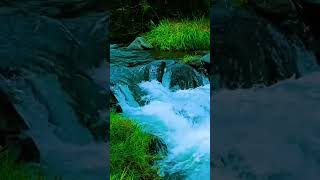 River fowingfull vidio click the chanel logo nature relaxingmusic waterfall relaxsounds [upl. by Ailugram]