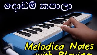 Dodam Kapala Notation  Olinda Keliya Music Sir සංගීත සර් Melodica Music Sinhala [upl. by Ainevuol]