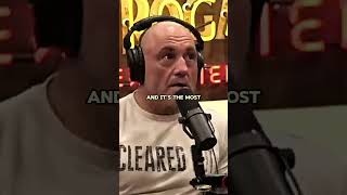 Joe Rogan on Meldrick Taylors Brain Damage [upl. by Allerus]