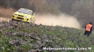 Herbst Rallye Dobersberg 2018 Sonnleitner Motorsport [upl. by Asilrak]