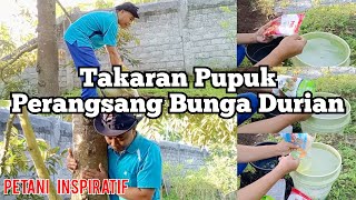 Takaran Pupuk Perangsang Bunga Durian [upl. by Yduj]