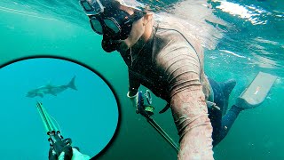 Spearfishing Big COBIA amp SNAPPER in Louisiana [upl. by Annasor]