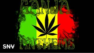 REGGAE GANJA ANTHEMS MIX 2024 VOL1 FT BUSHMANSIZZLARICHIE SPICECHUCK FENDA COLLIE BUDZ ETC [upl. by Enenaj]