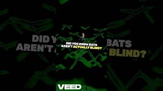 Why Bats Arent Actually Blind Myth Busted shorts shortsvideo mythbusting shortsfeed movie [upl. by May]