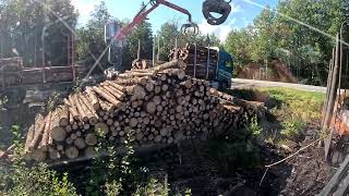 John Deere 1010G Unloading spruce pulpwood Truck loading [upl. by Yenreit]