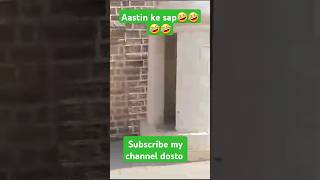 Asten ke sap 🤣🤣shortytshortvideocomedy [upl. by Lynde]