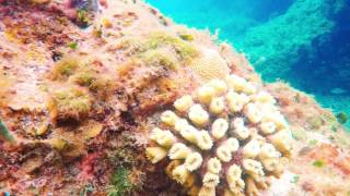 Cavern Dive Chankanaab Park Cozumel Mexico [upl. by Hackney863]