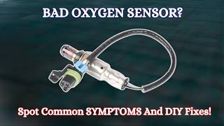 Top Symptoms and Causes of a Bad Oxygen Sensor  DIY Fixes [upl. by Nalced]