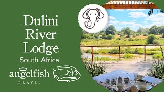 Dulini River  Sabi Sands  Superb luxury safari lodge [upl. by Wei]