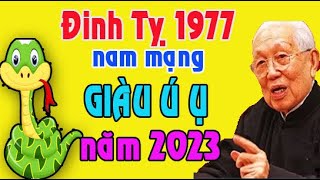 Tử vi tuổi Đinh Tỵ 1977 nam mạng năm 2023 [upl. by Emelyne823]