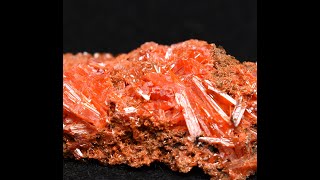 NEW ARRIVAL Crocoite from Tasmania Australia [upl. by Blackmore]