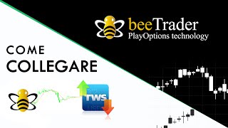 Come collegare beeTrader a Interactive Brokers  API TWS [upl. by Salocin]