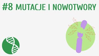 Mutacje i nowotwory 8  Genetyka [upl. by Melodee]